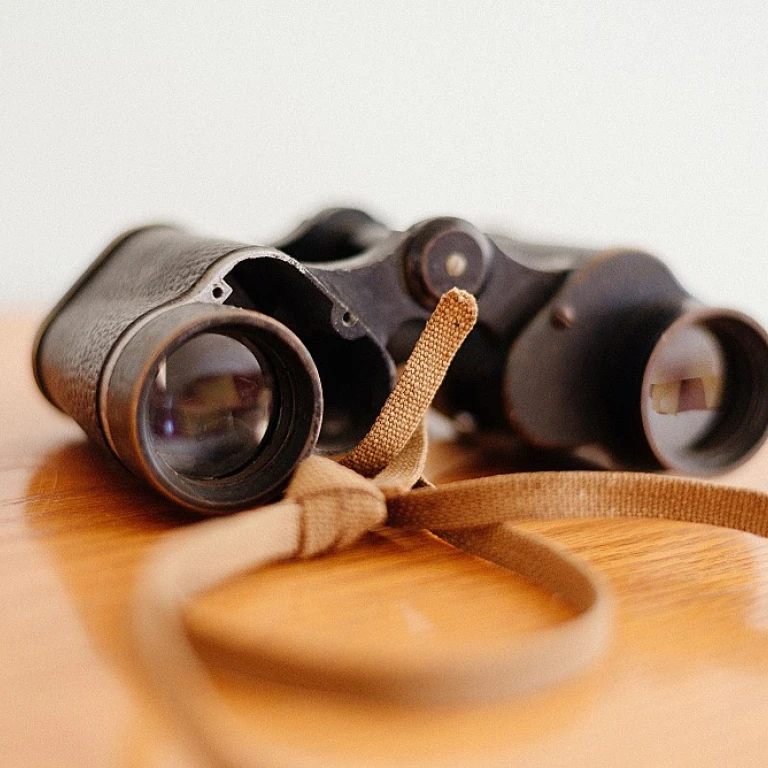 Optimizing Talent Management in a Digital Marketing Agency