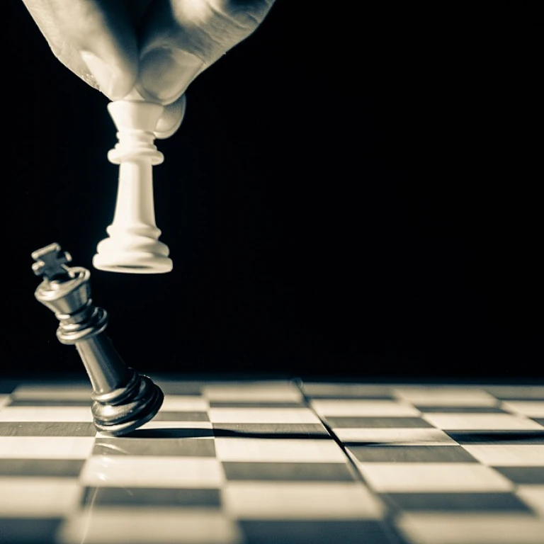Exploring Career Opportunities with CSUSA: A Talent Management Perspective