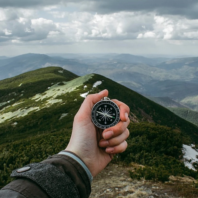 Understanding the Role of a Reverse Recruiter