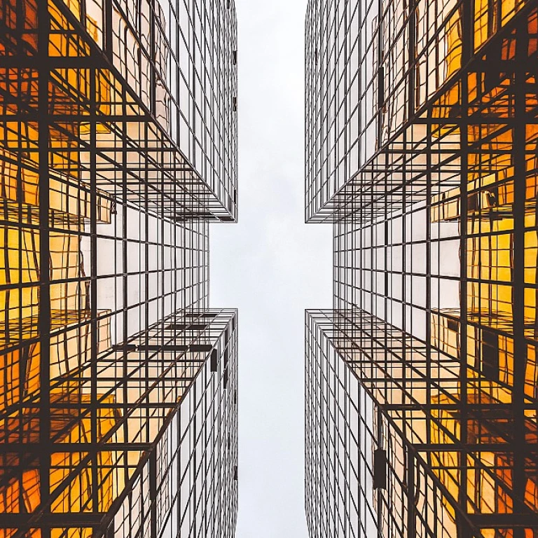 Implementing Effective Video-Based Training Solutions in Talent Management