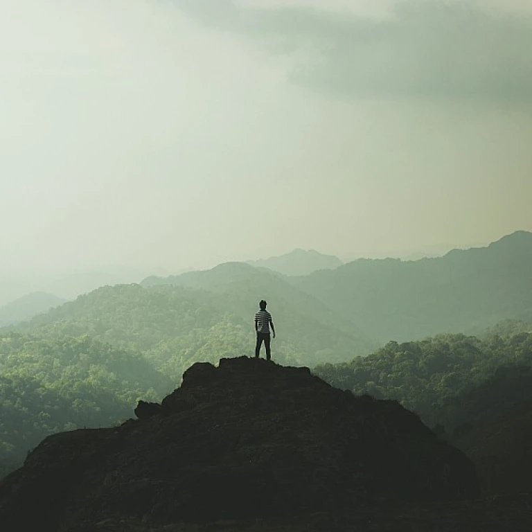 Enhancing Talent Management with Digital Screening