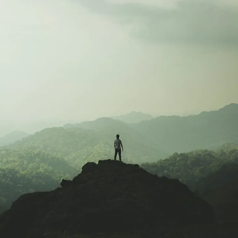 Celebrating the Role of Human Resources Professionals