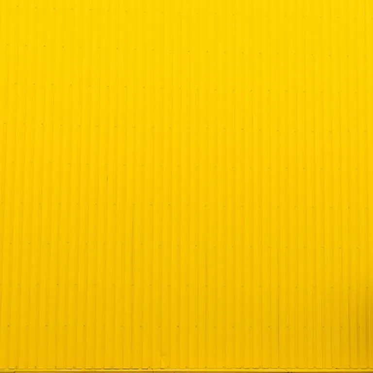 Understanding the core competencies of coach federations in talent management