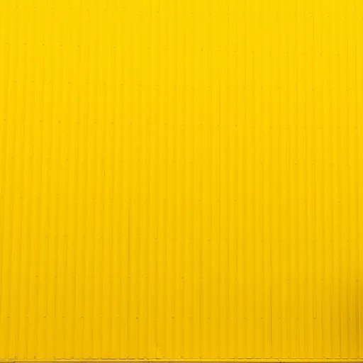 Understanding the core competencies of coach federations in talent management